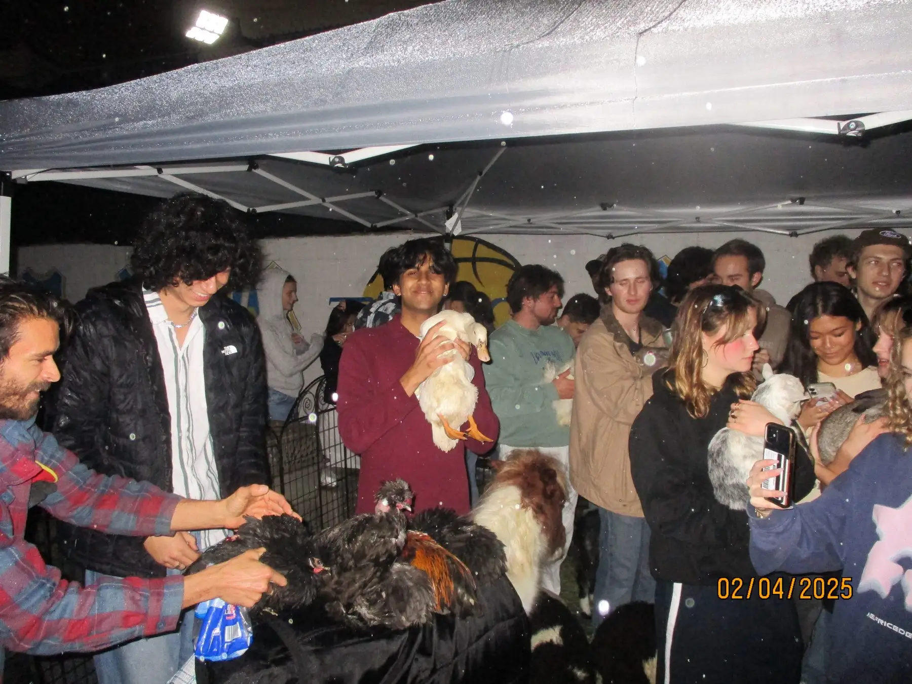 A brother cradling a duck under the tent at the petting zoo event