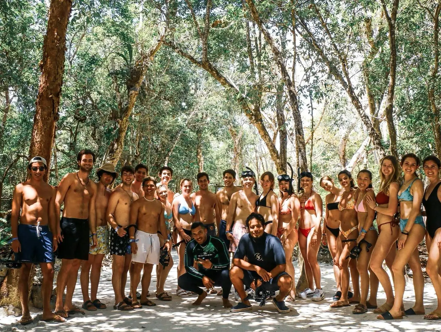 large beach group under trees