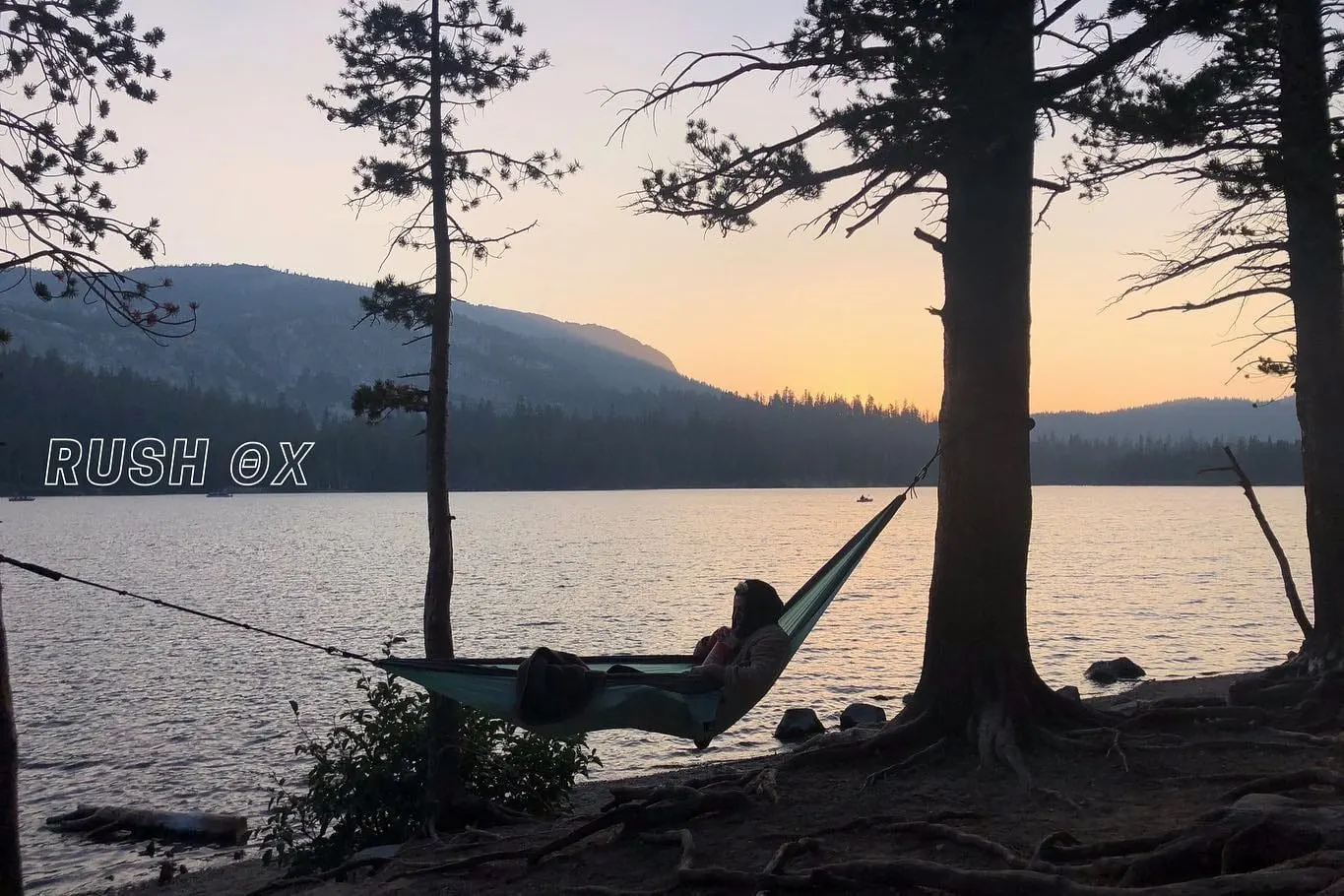 a socially distanced summer