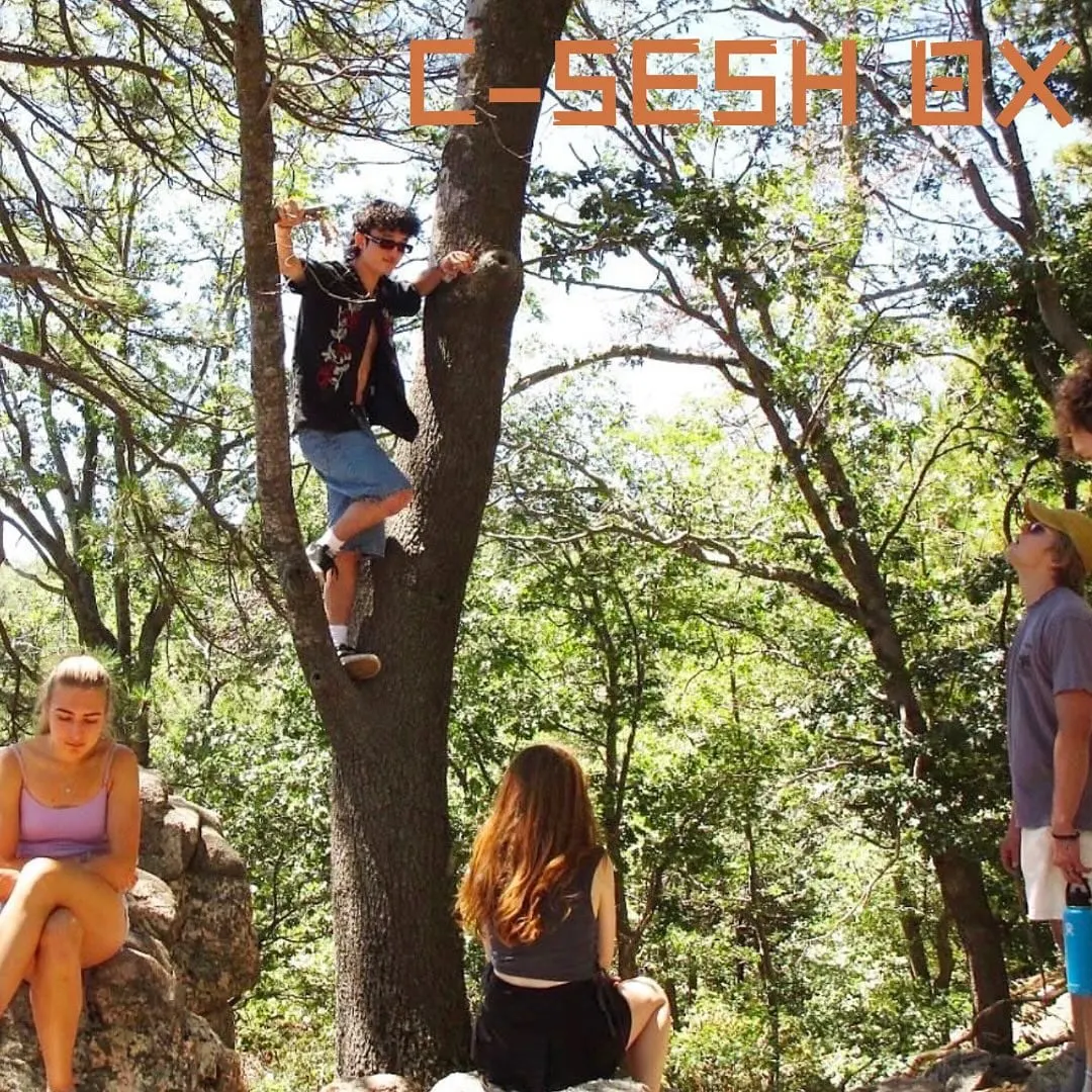 It’s time! C-Sesh applications are now open. Link is in bio, excited to see y’alls…
