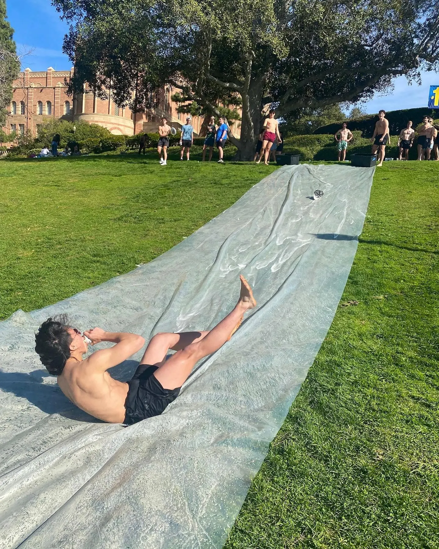 Sun, slides, and Theta Chi vibes ☀️🤙 #uclathetachi