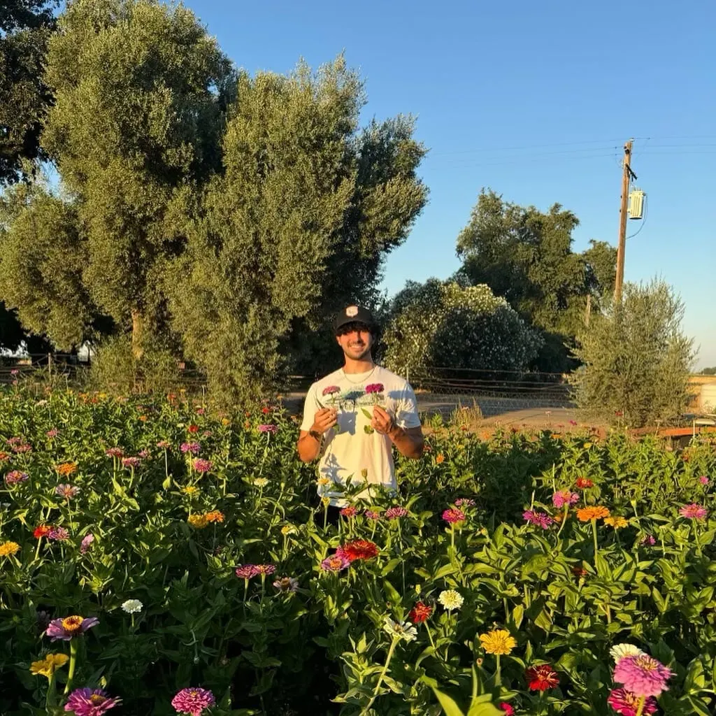 Summer highlights from the OX family ☀️#uclathetachi