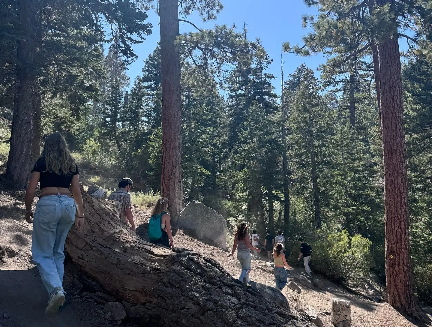 c-sesh 2024 retreat #uclathetachi